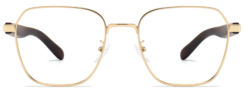 Declan: Square Gold Eyeglasses