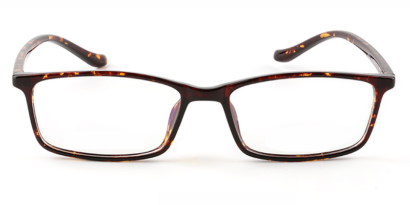 Tortoiseshell Asher - Rectangle Glasses