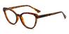 Tortoiseshell Kayla - Cat Eye Glasses