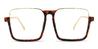 Tortoiseshell Levi - Square Glasses