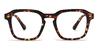 Tortoiseshell Milo - Square Glasses