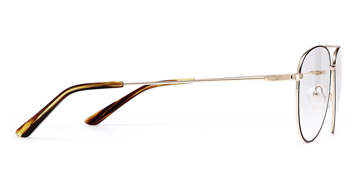 Black Gold Brown Palm - Aviator Glasses