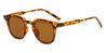 Tortoiseshell Brown Merida - Oval Sunglasses