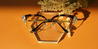 Gold Black Tortoiseshell Ozara - Cat Eye Glasses