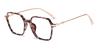 Tortoiseshell Jelsy - Square Glasses