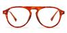 Tortoiseshell Nalle - Oval Glasses