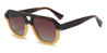Brown Beige Gradual Brown Sosa - Aviator Sunglasses