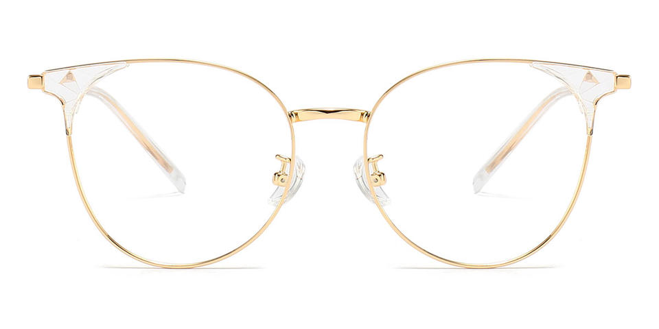 Clear Dhruv - Oval Glasses