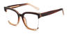 Gradient Brown Leona - Square Glasses