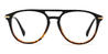 Black Tortoiseshell Kiaha - Aviator Glasses