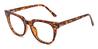 Tortoiseshell Paisley - Oval Glasses