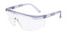 Transparent Gerald - Safety Glasses