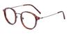 Gun Tortoiseshell Nura - Oval Glasses