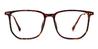 Tortoiseshell Evey - Square Glasses