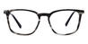 Black Tortoiseshell Zeke - Rectangle Glasses