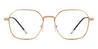 Gold Aasir - Rectangle Glasses