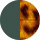 Deep/Green-Tortoiseshell