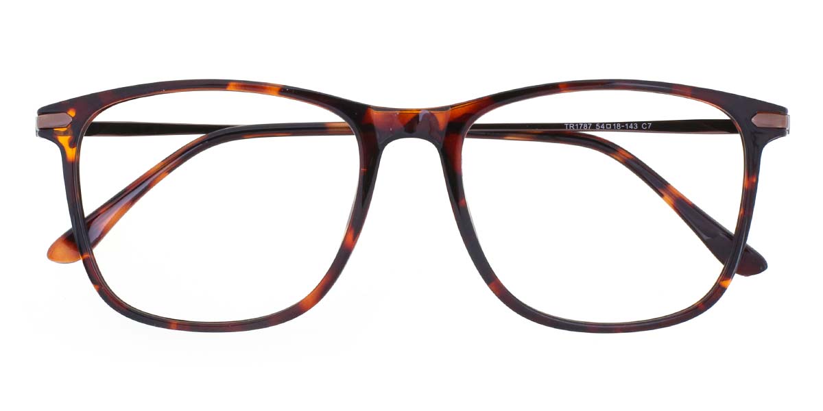 Écaille Winfred Lunettes - Square Glasses