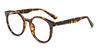 Ash Brown Tortoiseshell Kojo - Round Glasses