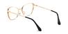 Tawny Tortoiseshell Aiyana - Square Glasses