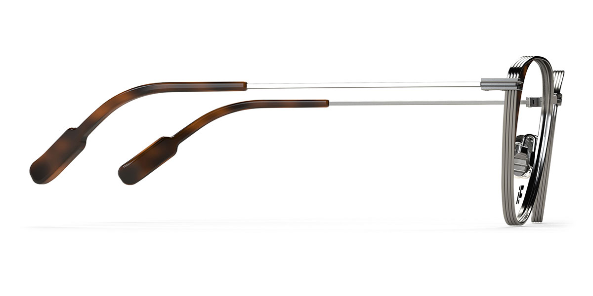 Écaille de tortue argentée Dapper 13 - Cat Eye Glasses