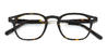 Tortoiseshell Beck - Rectangle Glasses