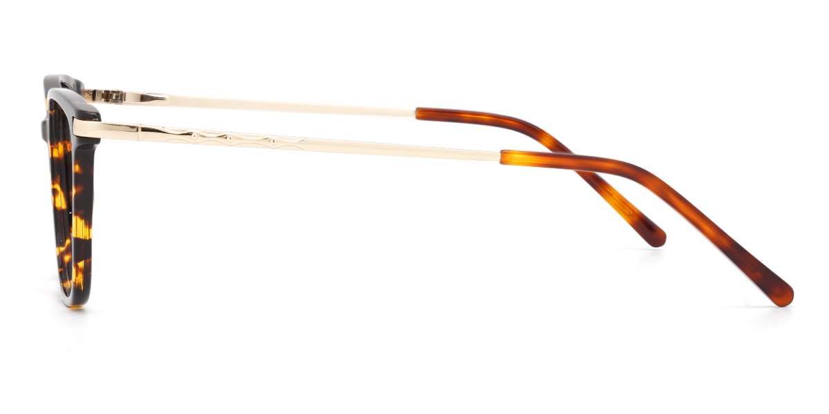 Tortoiseshell Abraham - Rectangle Glasses