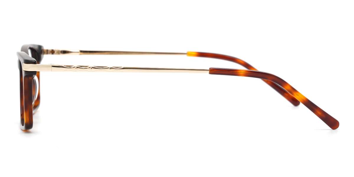 Tortoiseshell Beacher - Rectangle Glasses