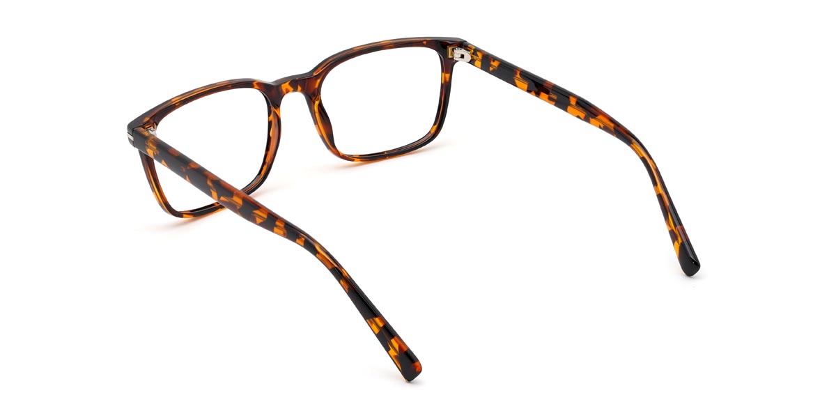 Tortoiseshell Willie - Rectangle Glasses