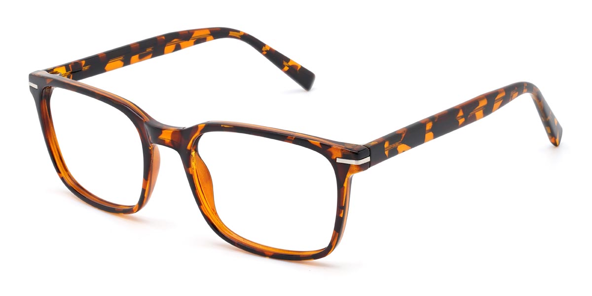 Tortoiseshell Willie - Rectangle Glasses