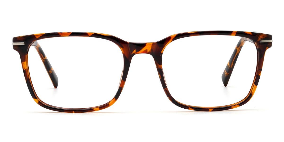 Tortoiseshell Willie - Rectangle Glasses