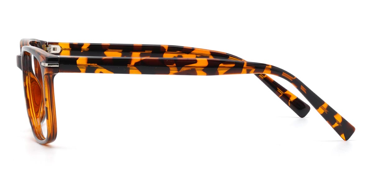 Tortoiseshell Willie - Rectangle Glasses