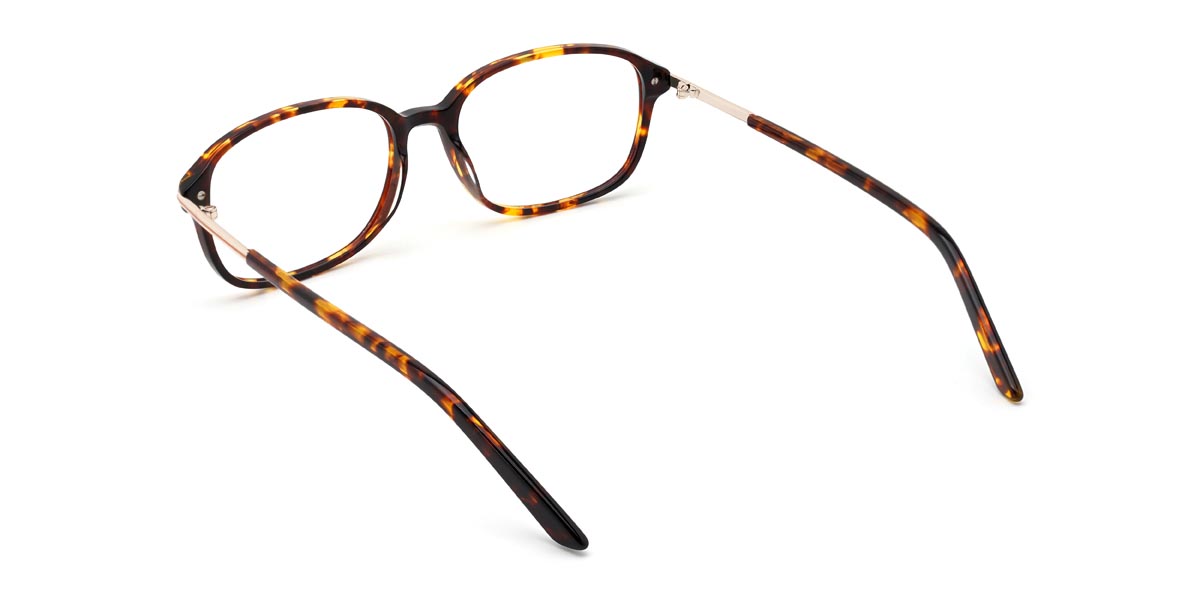 Tortoiseshell Dwight - Rectangle Glasses