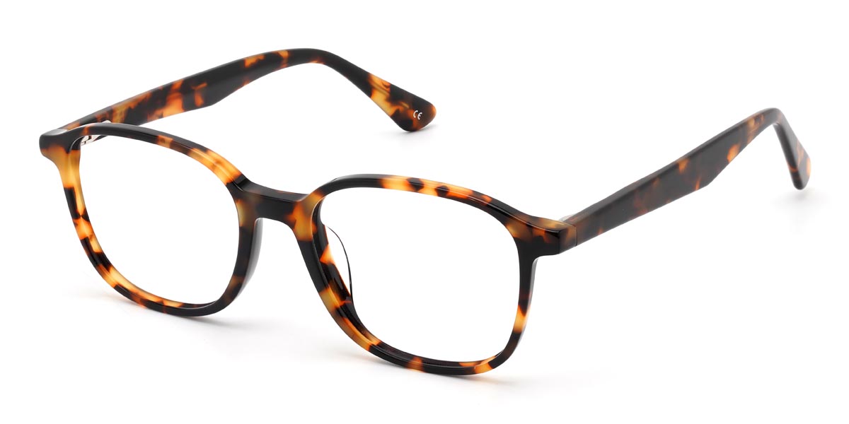 Tortoiseshell Edwiin - Rectangle Glasses