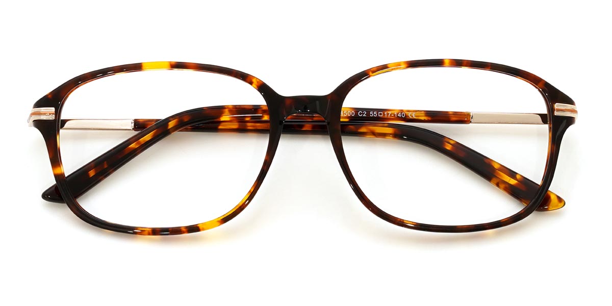 Tortoiseshell Dwight - Rectangle Glasses