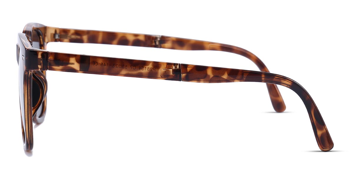 Tortoiseshell Grey Viola - Square Sunglasses