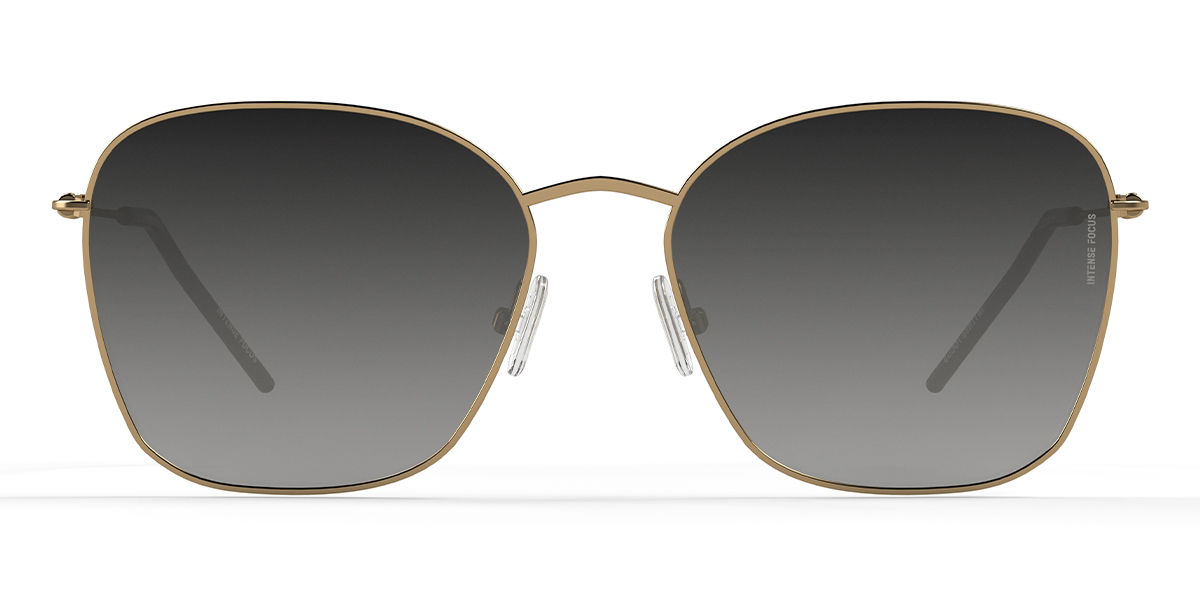 Gold Gradual Grey Light Rim 12 X - Round Sunglasses