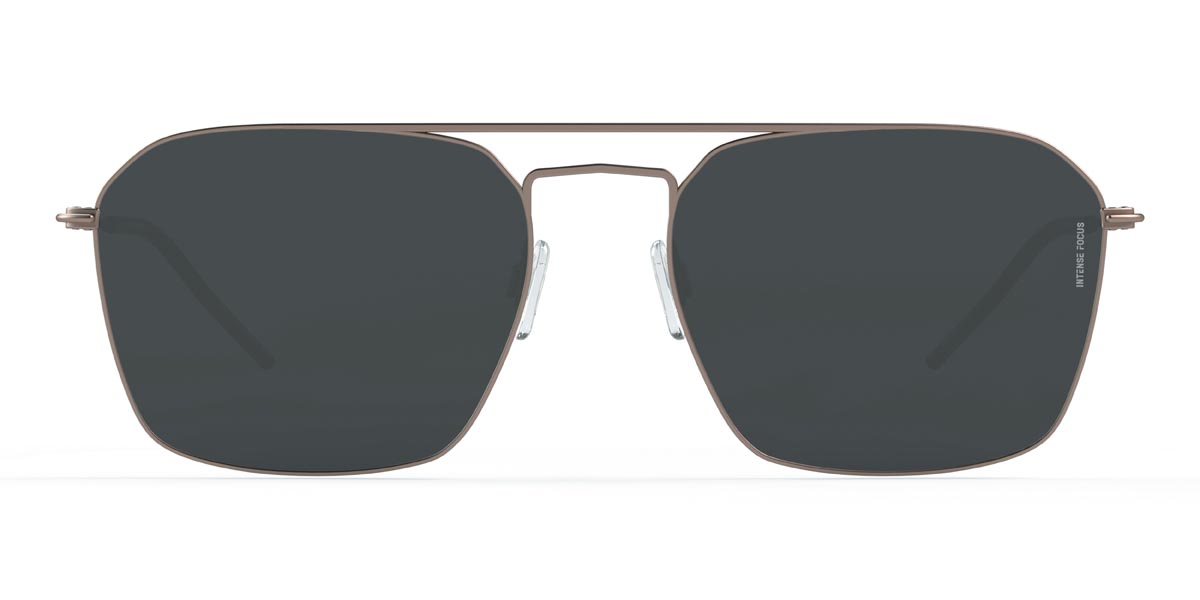 Champagner Grau Luster 16 X - Aviator Sunglasses