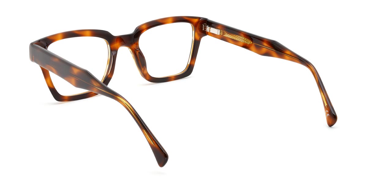 Tortoiseshell Paddy - Rectangle Glasses