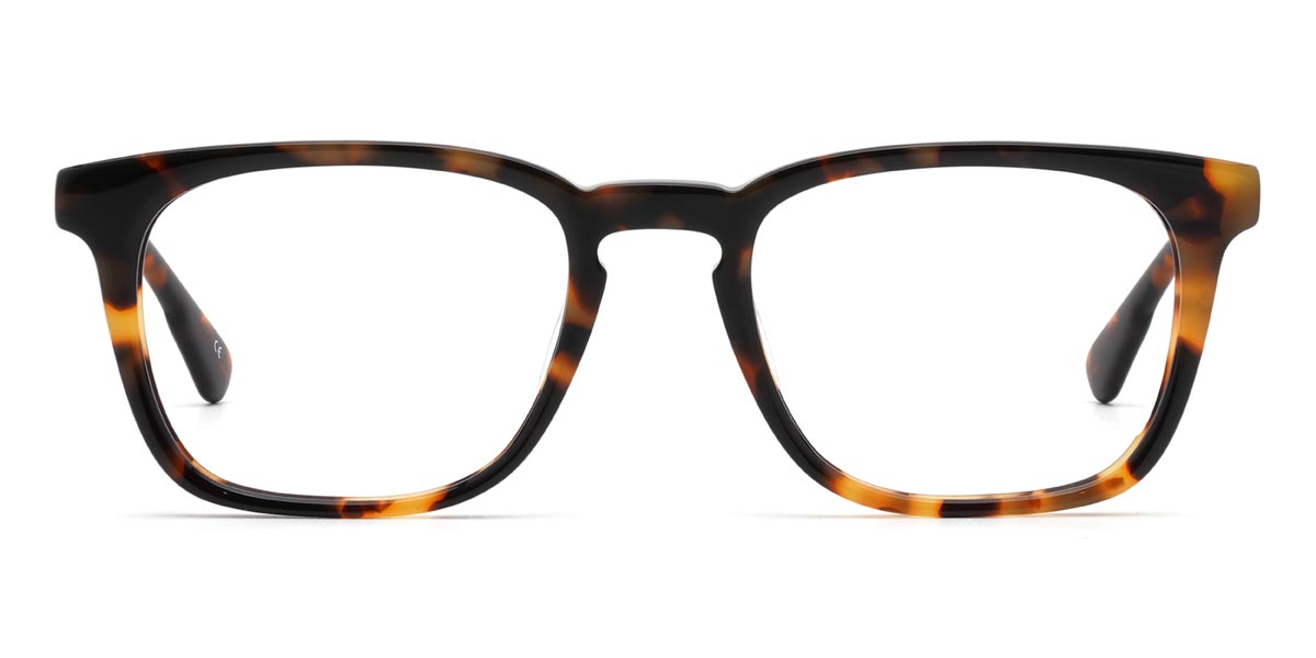 Tortoiseshell Robin - Rectangle Glasses