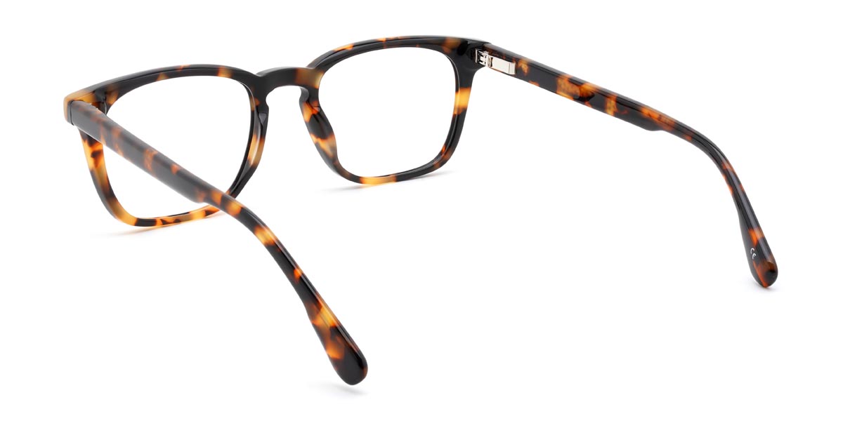 Tortoiseshell Robin - Rectangle Glasses