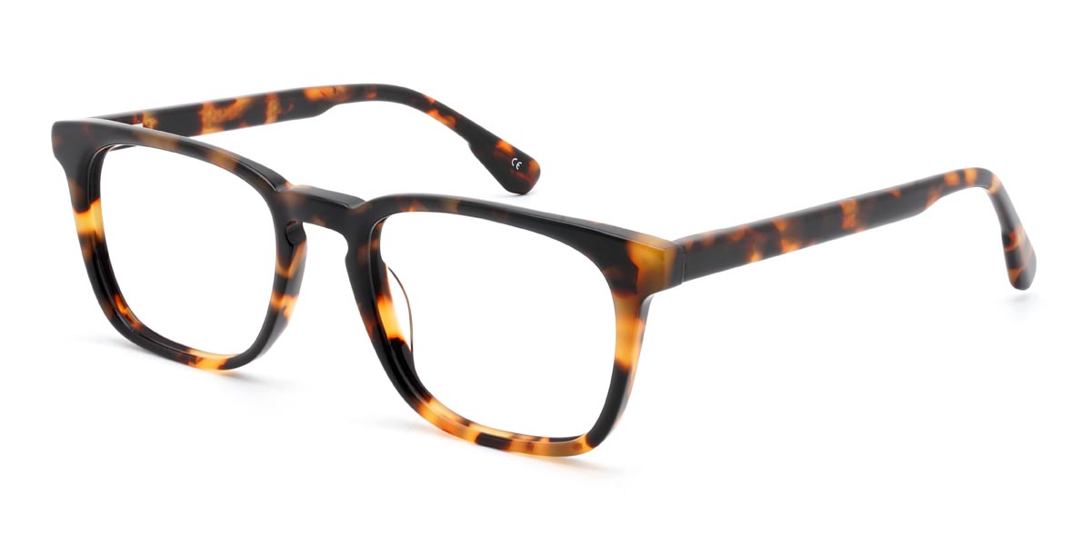 Tortoiseshell Robin - Rectangle Glasses