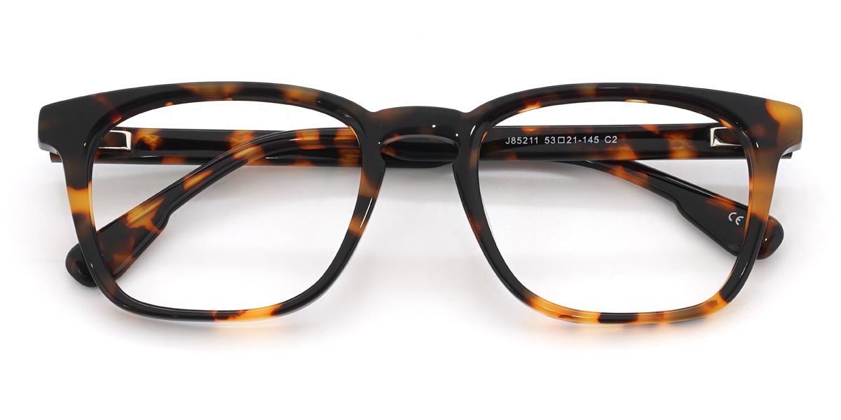 Tortoiseshell Robin - Rectangle Glasses