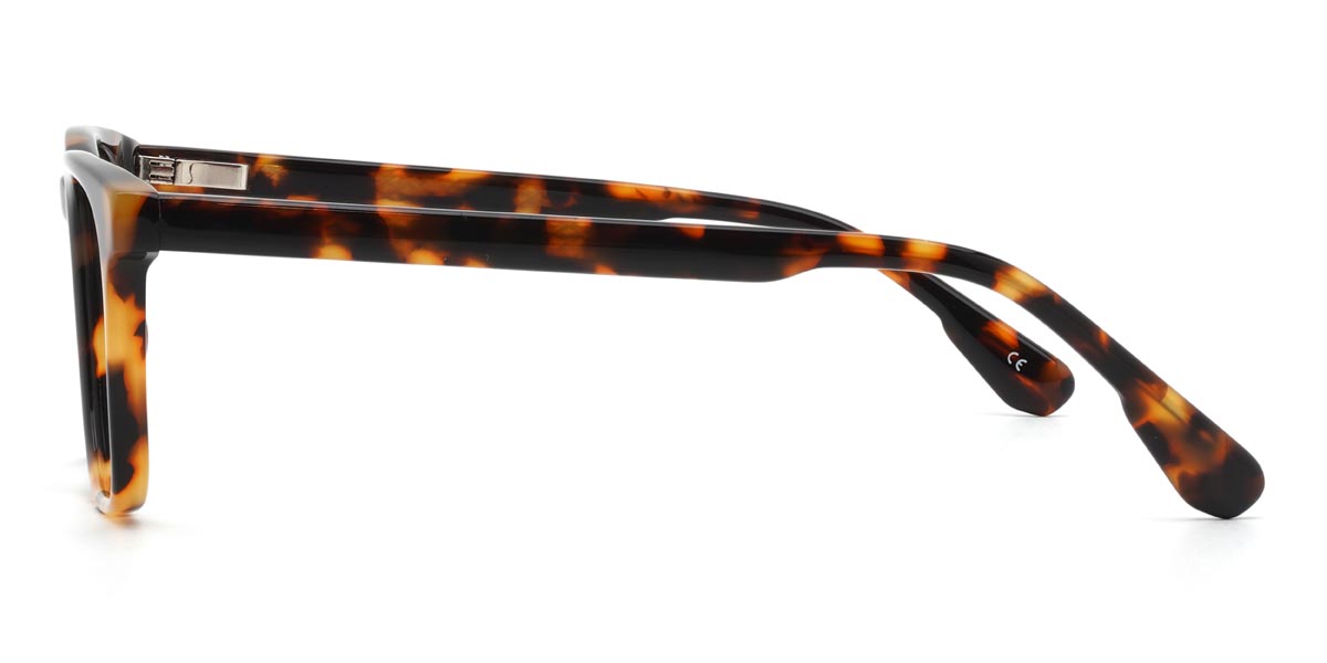 Tortoiseshell Robin - Rectangle Glasses