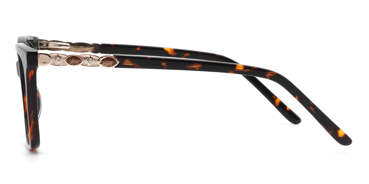 Tortoiseshell Ralap - Rectangle Glasses