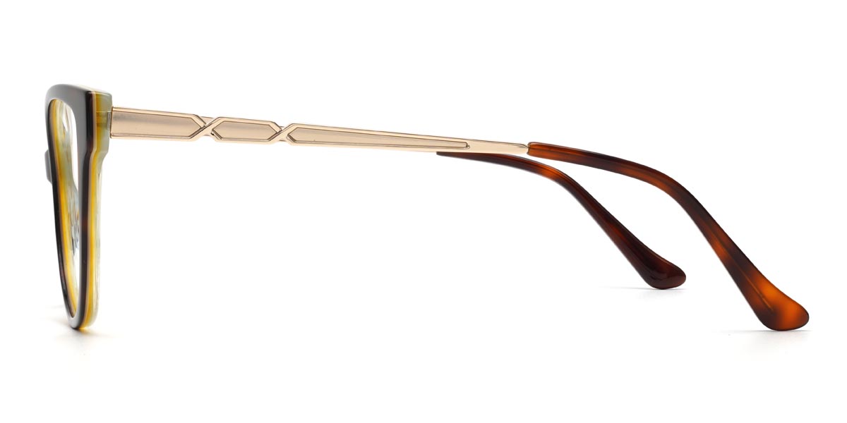 Tortoiseshell Avivahc - Cat Eye Glasses