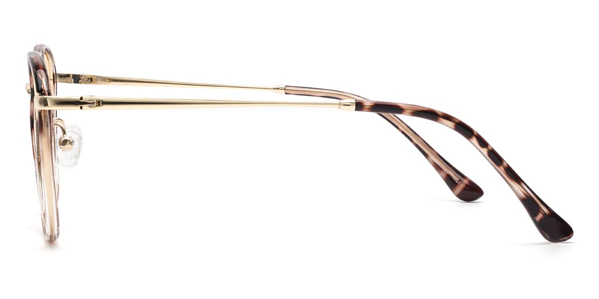 Marron Écaille de tortue Hillary - Oval Glasses