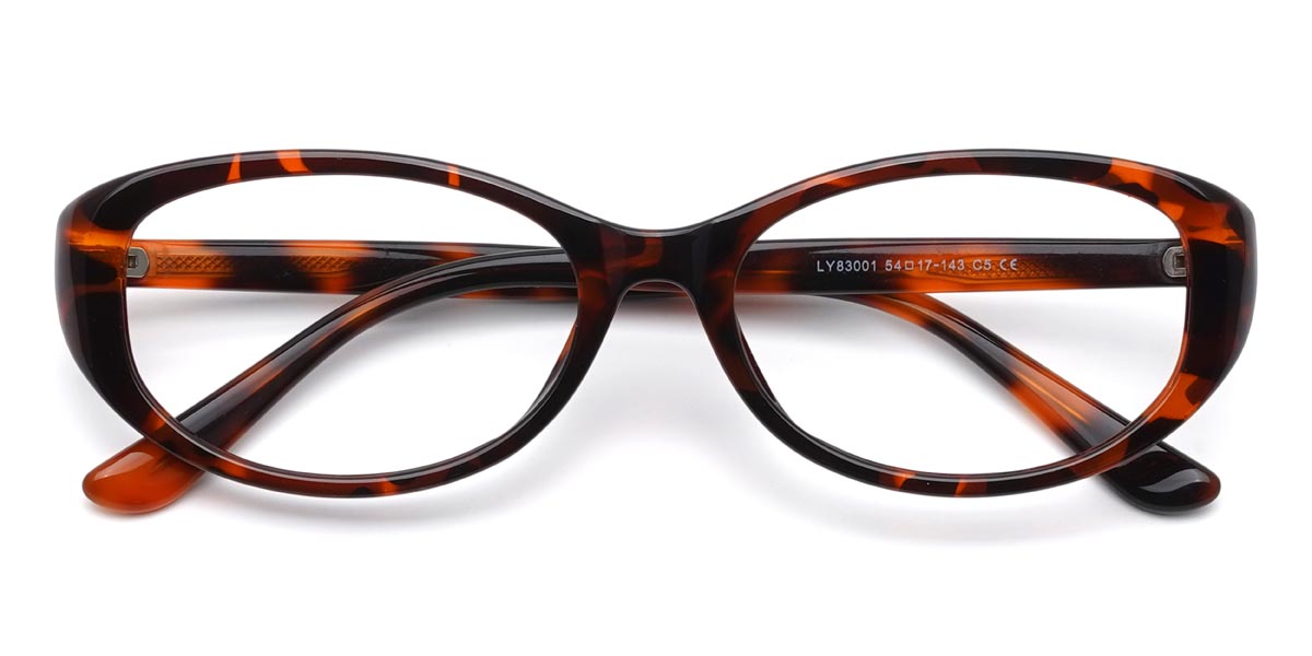 Tortoiseshell Derek - Oval Glasses