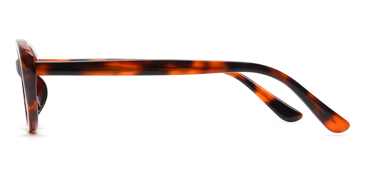 Tortoiseshell Derek - Oval Glasses