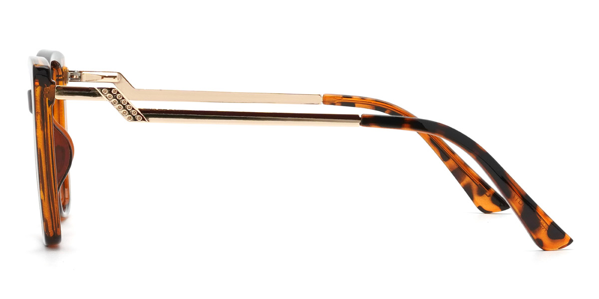 Tortoiseshell Chaya - Square Glasses